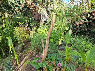 Holiday house Granitsteinhaus in idyllischer Lage – Guimaec - Outdoor photo 10