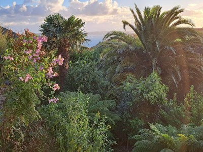 Holiday house Granitsteinhaus in idyllischer Lage – Guimaec - Outdoor photo 12
