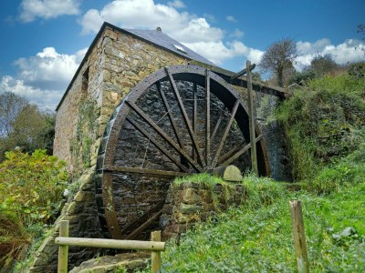 Holiday house Granitsteinhaus in idyllischer Lage – Guimaec - Environment photo 26