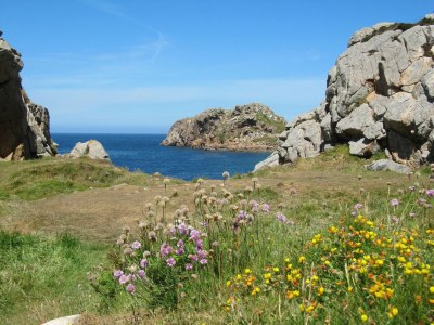 Holiday house Granitsteinhaus in idyllischer Lage – Guimaec - Environment photo 29