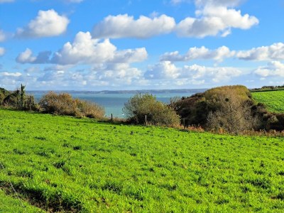 Holiday house Granitsteinhaus in idyllischer Lage – Guimaec - Environment photo 32