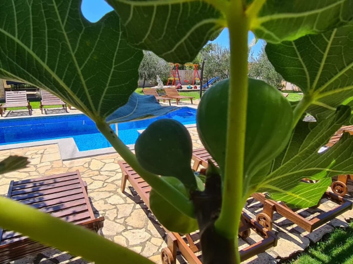 Villa Villa Popovića Dvori - Six Bedroom Villa with Pool - Outdoor photo 2