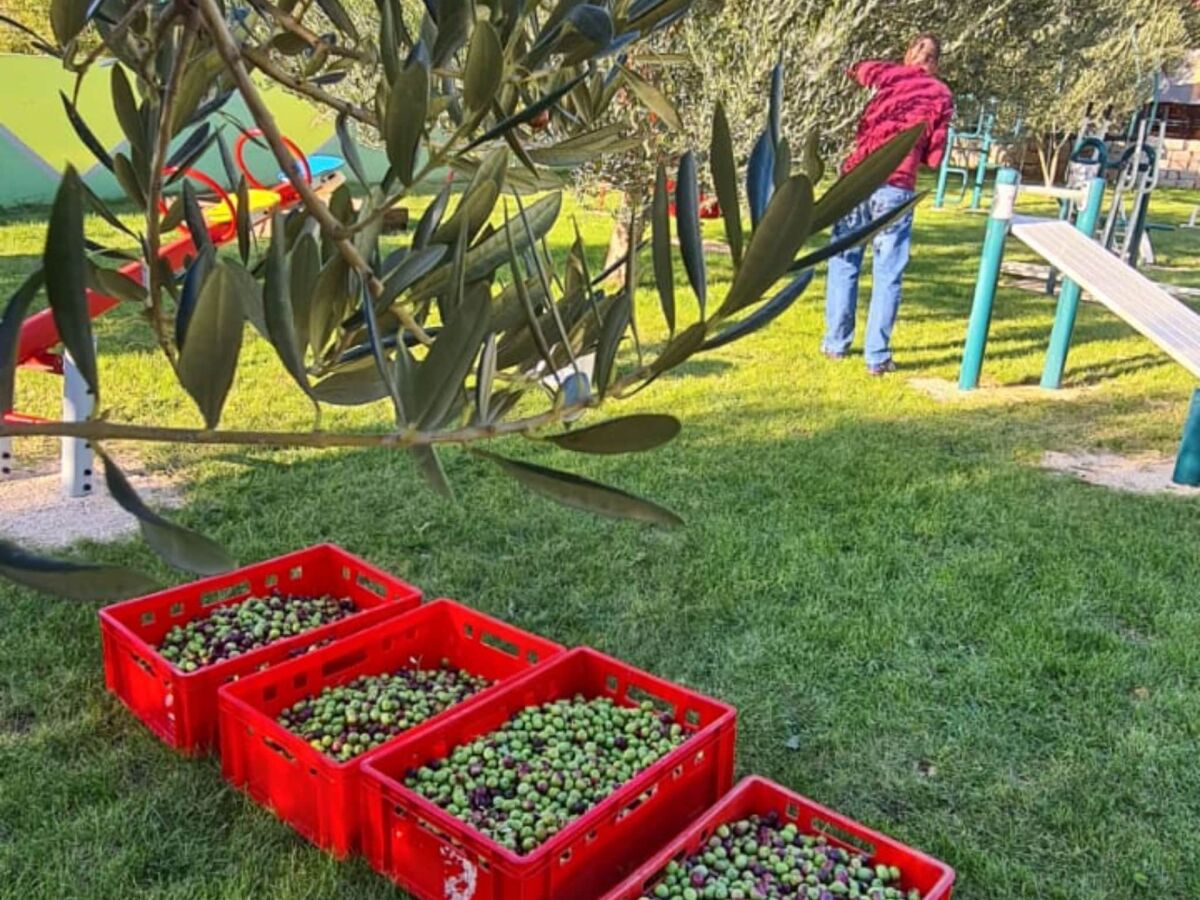 Villa Villa Popovića Dvori - Six Bedroom Villa with Pool - Outdoor photo 4