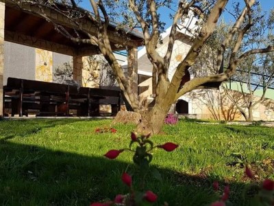 Villa Villa Popovića Dvori - Six Bedroom Villa with Pool - Outdoor photo 10