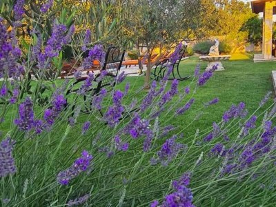 Villa Villa Popovića Dvori - Six Bedroom Villa with Pool - Outdoor photo 26