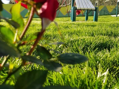 Villa Villa Popovića Dvori - Six Bedroom Villa with Pool - Outdoor photo 37