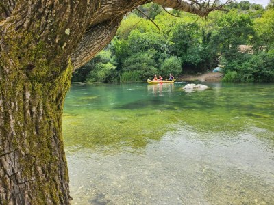 Villa Villa Popovića Dvori - Six Bedroom Villa with Pool - Outdoor photo 108