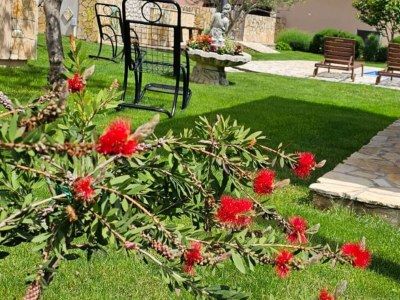 Villa Villa Popovića Dvori - Six Bedroom Villa with Pool - Outdoor photo 125