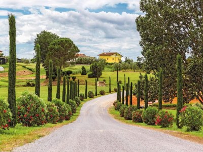 Holiday house Holiday Home in Valenzatico with garden - Environment photo 31