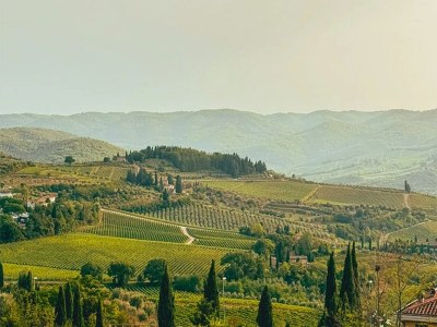 Apartment Apartment in Laterina with garden - Environment photo 24
