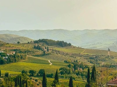 Apartment Apartment in Laterina with shared pool - Environment photo 33