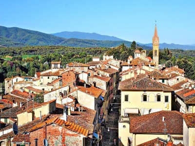 Apartment Apartment 500 m from Laterina Centre - Environment photo 26