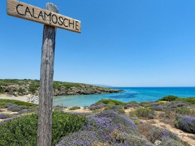 Holiday house Holiday Home in Siracusa with garden - Environment photo 28