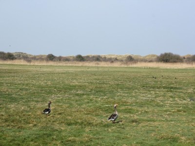 Holiday house Schöne Villa am Waldrand - Environment photo 25