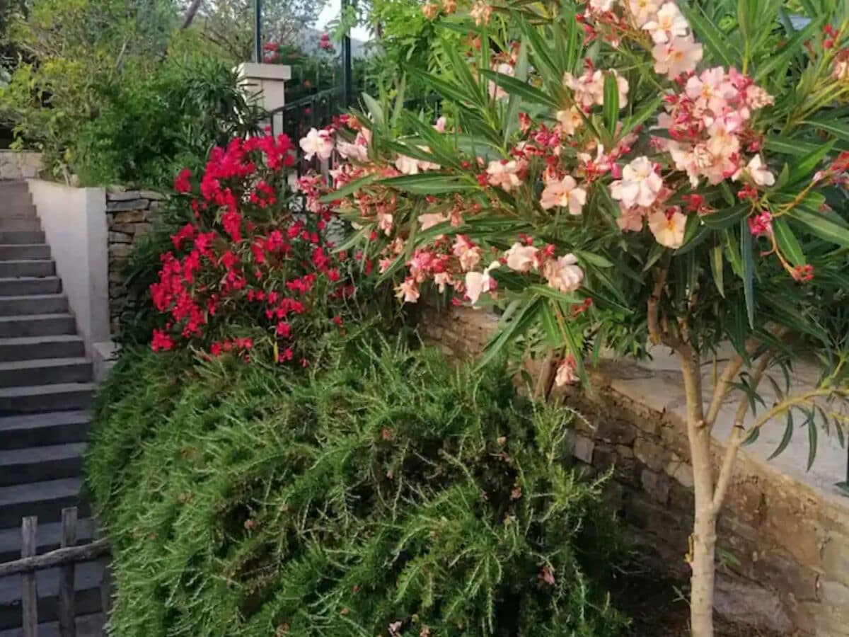 Villa Three Bedroom Villa With Private Pool - Outdoor photo 2