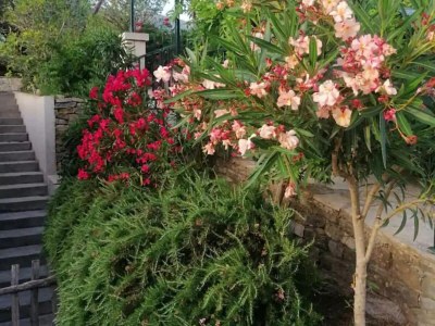 Villa Three Bedroom Villa With Private Pool - Outdoor photo 2