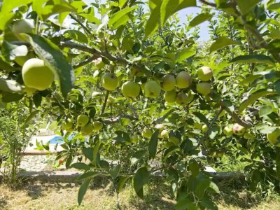 Villa Three Bedroom Villa With Private Pool - Outdoor photo 8