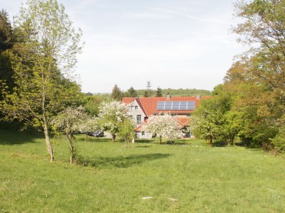 Holiday apartment Schwarzenberger - Outdoor photo 7