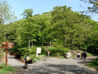 Holiday apartment Schwarzenberger - Environment photo 23