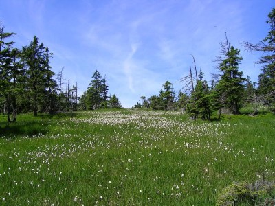 Holiday apartment Schwarzenberger - Environment photo 24