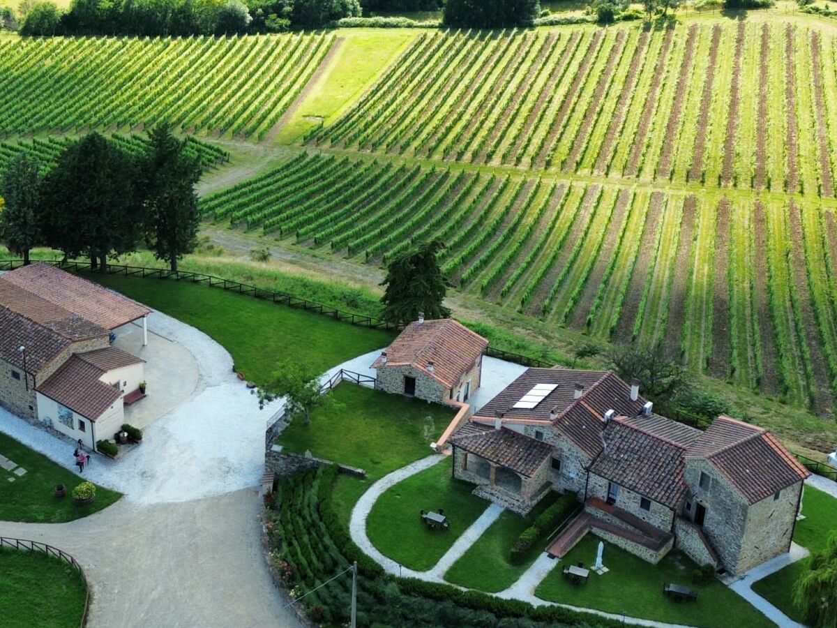 Holiday house Ciliegio - vista vigneti - Outdoor photo 4