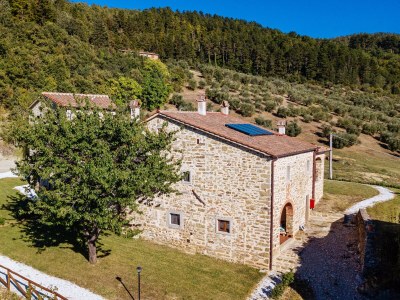 Holiday house Ciliegio - vista vigneti - Outdoor photo 9