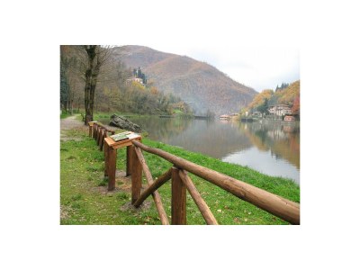 Holiday house Ciliegio - vista vigneti - Environment photo 26