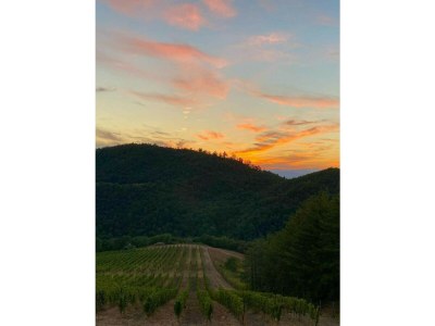 Holiday house Apartment Torre - Outdoor photo 6