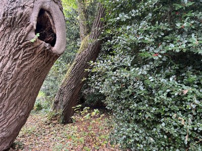 Villa Oostkapelle - ZE1676 - Environment photo 36