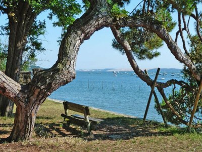 Holiday house Komfortables Holzchalet,  Le Porge - Outdoor photo 19