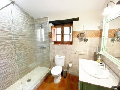 Holiday house Virgen de la Cabeza Rural House - Features photo 33