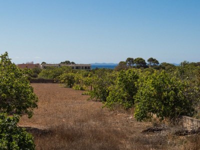 Villa SHORT DE SON FIDEU - Environment photo 27