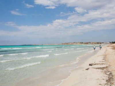 Villa SHORT DE SON FIDEU - Environment photo 28