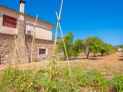 Villa SON FIGUEROLA - Outdoor photo 13