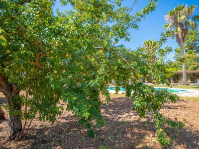 Villa SON FIGUEROLA - Outdoor photo 14