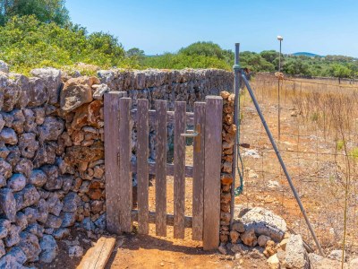 Villa FINCA CAN GUILLEM BOQUET - Environment photo 48