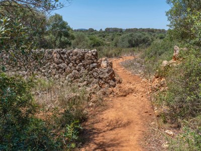Villa FINCA CAN GUILLEM BOQUET - Environment photo 49