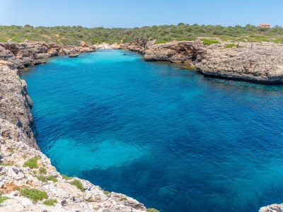 Villa FINCA CAN GUILLEM BOQUET - Environment photo 53
