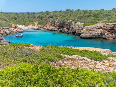 Villa FINCA CAN GUILLEM BOQUET - Environment photo 54