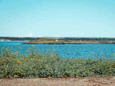 Apartment GALIOTA DOS - Environment photo 34