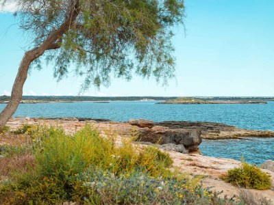 Apartment GALIOTA DOS - Environment photo 35