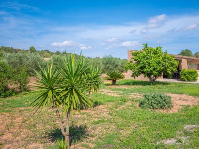 Villa CASA FINA - Outdoor photo 32