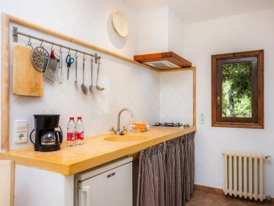 Apartment S'HORT DE SA BAGURA 4 - Features photo 59