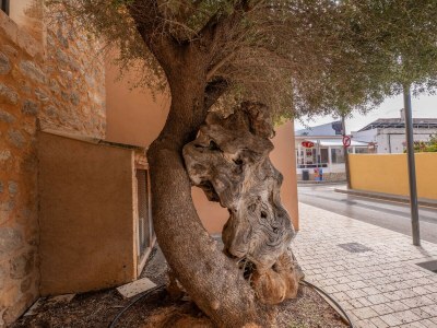 Apartment BRISA MARINA - Outdoor photo 12