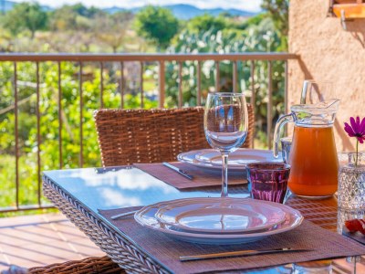 Villa SA PEDRERA DES TURÓ - Outdoor photo 12