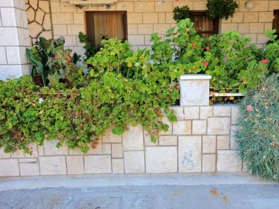 Apartment Two bedroom apartment with terrace and sea view Gršćica, Korčula A-169-a - Outdoor photo 6