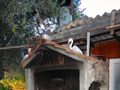 Apartment Four-bedroom apartment with terrace Bibinje, Zadar A-681-a - Outdoor photo 10