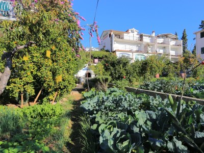 Apartment Two bedroom apartment with terrace and sea view Seget Donji, Trogir A-2029-a - Outdoor photo 8