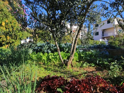 Apartment Two bedroom apartment with terrace and sea view Seget Donji, Trogir A-2029-b - Outdoor photo 9