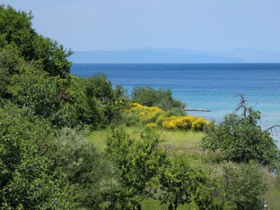 Apartment One bedroom apartment with terrace Kampor, Rab A-3214-b - Outdoor photo 12